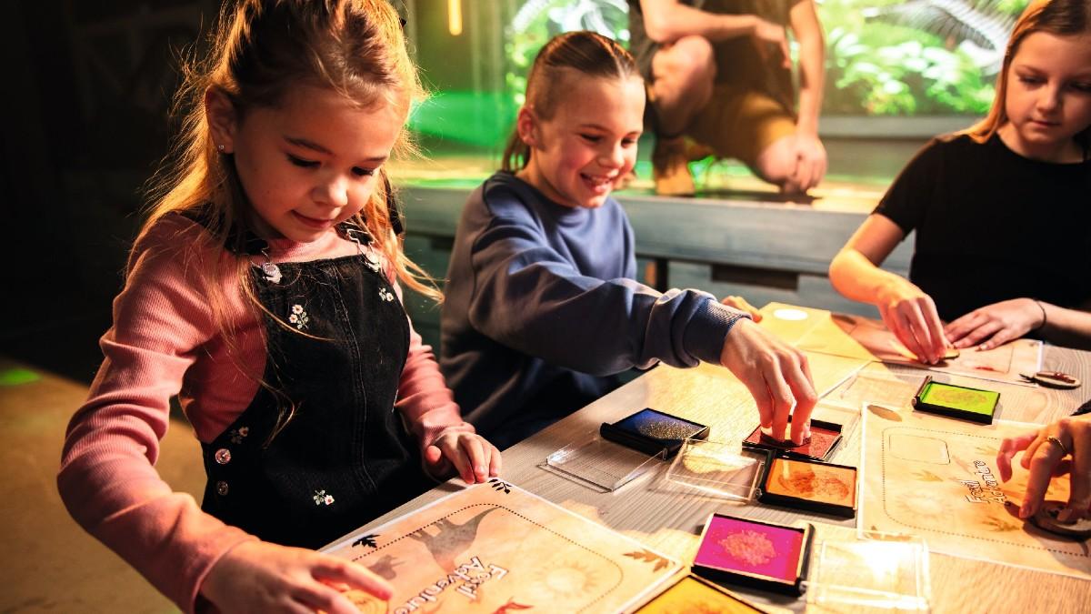 activity-landscape-image