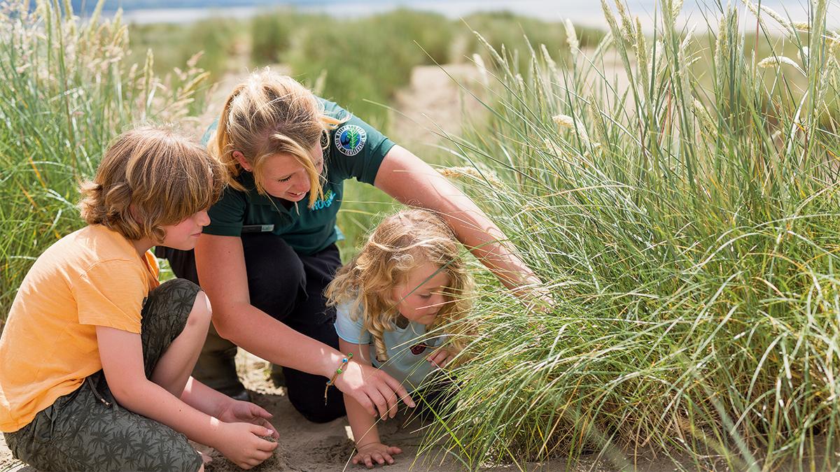 activity-landscape-image