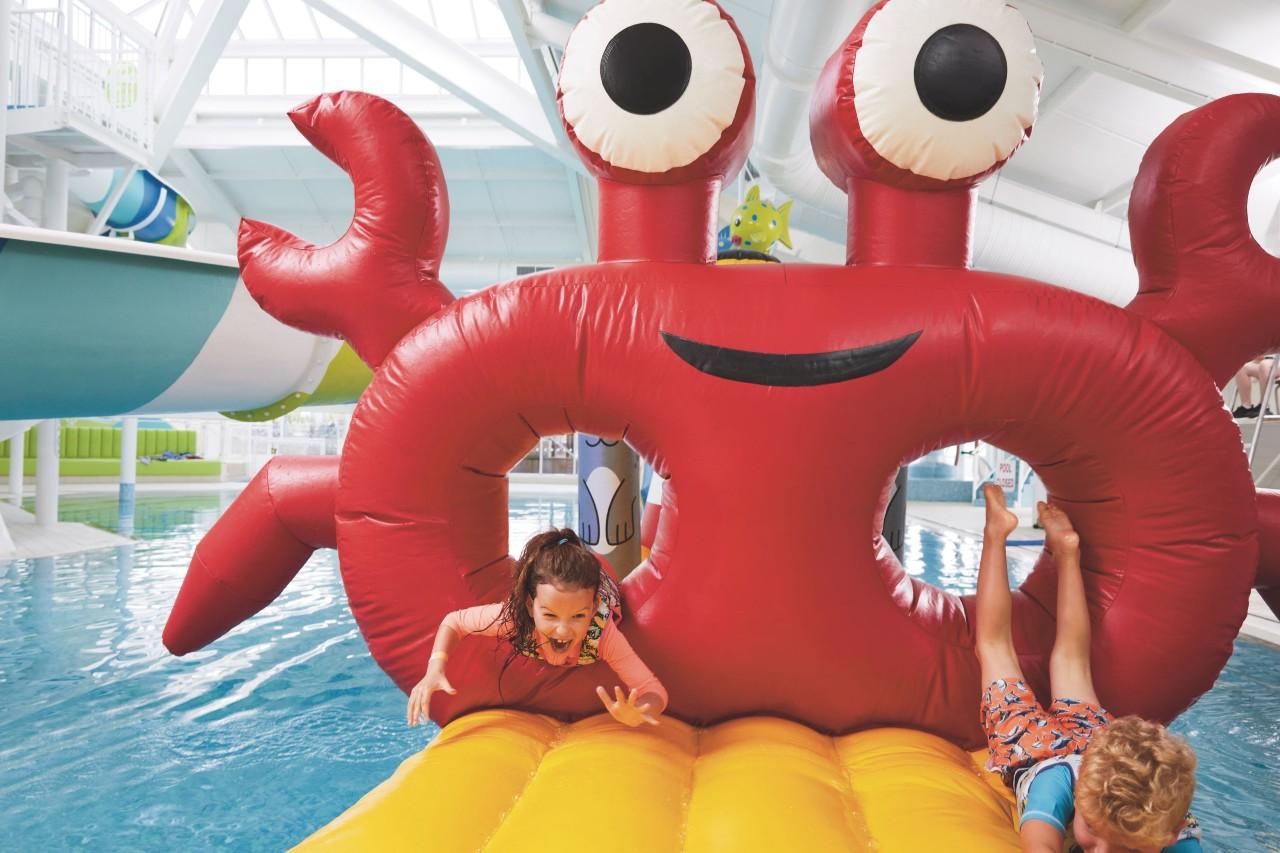 activity-landscape-image