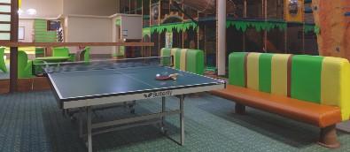 activity-landscape-image